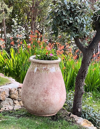 Poterie Modèle Biot patine ancienne  hauteur 1m col anis clair