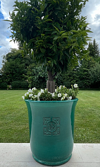 Vase davinci